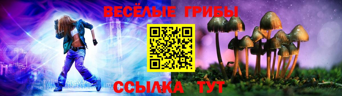 Галлюциногенные грибы мухоморы Владивосток