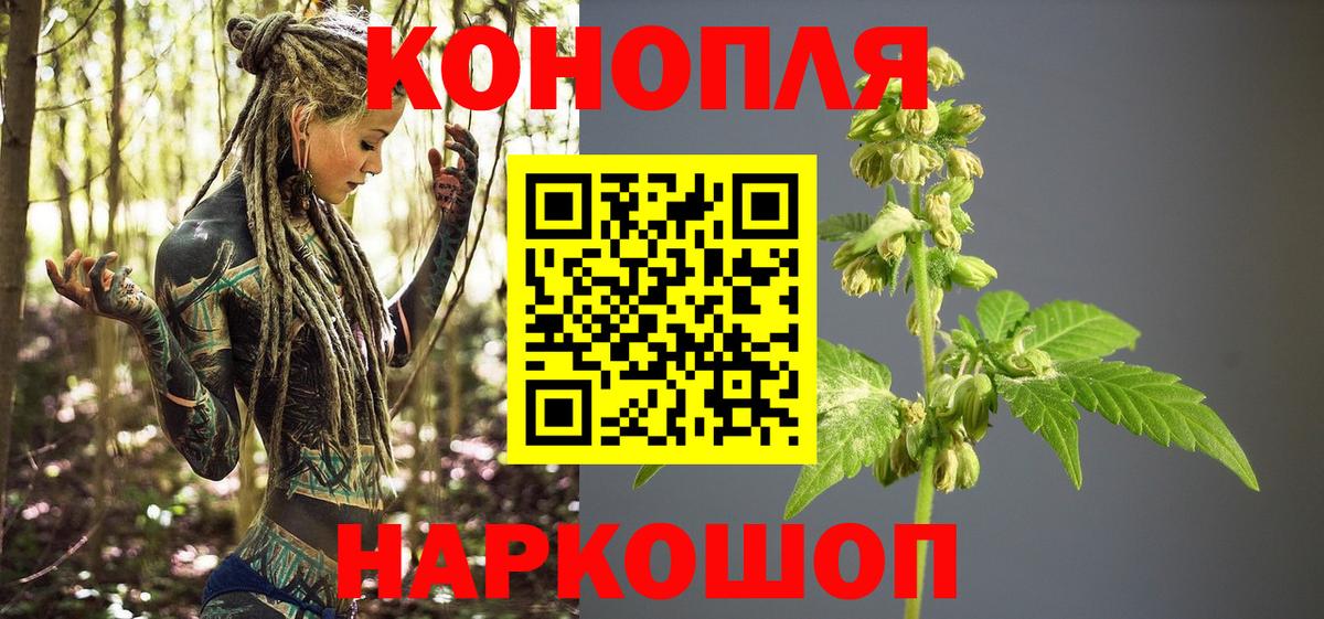Бошки Шишки планчик  Бошки марихуана гибрид  Владивосток  Вход с VPN  Конопля SATIVA & INDICA 